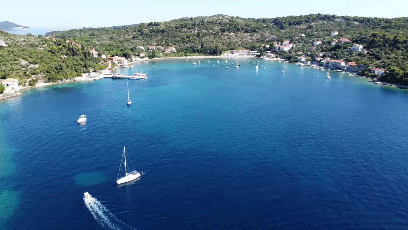Aerial view of a bay on Koločep with a beach, houses among pine trees and boats at anchor